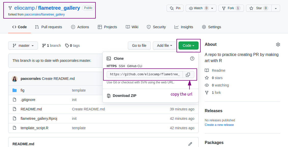 Screenshot of a forked repo showing where to copy the url to clone the repo.
